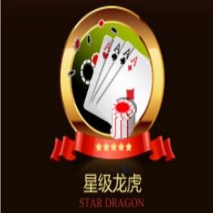 腾龙竞技场